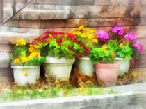 Flowerpots with Autumn Flowers von Susan Savad