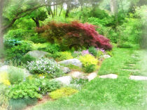 Garden With Japanese Maple by Susan Savad