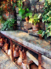 Greenhouse with Flowerpots by Susan Savad