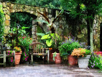 Patio Garden in the Rain von Susan Savad