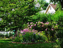 Suburban Garden With Roses von Susan Savad