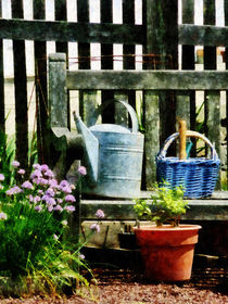 Watering Can and Blue Basket by Susan Savad