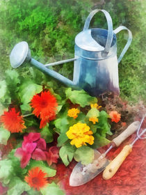 Zinnias and Watering Can by Susan Savad
