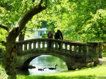 Couple on Bridge in Park by Susan Savad