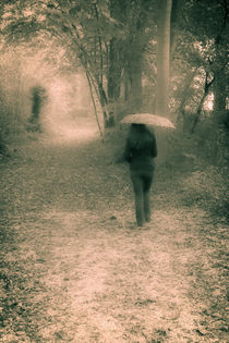 A walk in the woods under the rain... by Benjamin Gaie