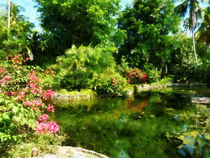 Tropical Garden by Lake von Susan Savad