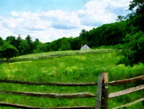 Field Near Weathered Barn by Susan Savad