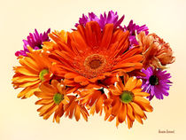 Mixed Bouquet With Gerbera Daisy and Mums von Susan Savad