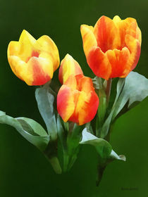 Three Orange and Red Tulips by Susan Savad