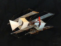The Timmons Kite von Susan Savad