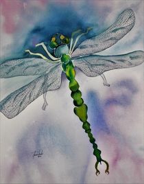 Libelle, Insekt, Aquarell by Theodor Fischer