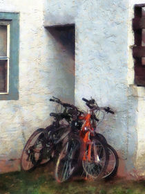 Bicycles in Yard von Susan Savad