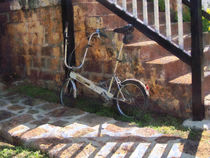 Folding Bicycle Antigua by Susan Savad