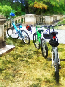 Line of Bicycles in Park von Susan Savad