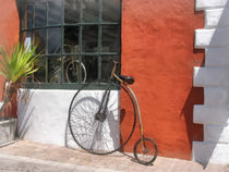 Penny-Farthing in Front of Bike Shop by Susan Savad