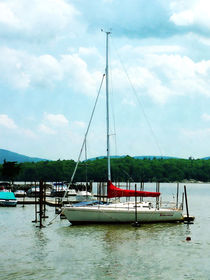 Docked on the Hudson River von Susan Savad