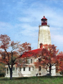 New Jersey - Lighthouse at Sandy Hook von Susan Savad