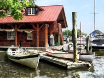 Alexandria VA - Rowboats by Founders Park by Susan Savad