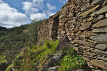 Ruins of a schist cottage in Alentejo von Angelo DeVal
