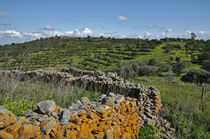Antique stone wall of an old farm by Angelo DeVal