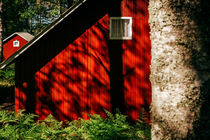 Red Cabins by David Pinzer