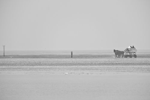 Nordsee-cuxhaven-nebel-2