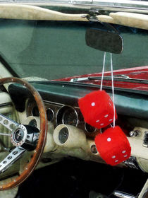 Red Fuzzy Dice in Converible by Susan Savad