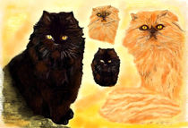 ~Persian Cats~ by Sandra  Vollmann