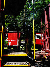 Morristown and Erie Caboose by Susan Savad