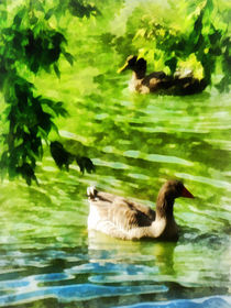 Ducks on a Tranquil Pond von Susan Savad