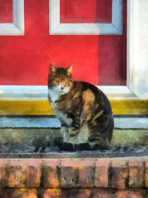 Tabby Cat by Red Door by Susan Savad