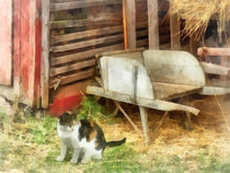 Farm Cat by Susan Savad