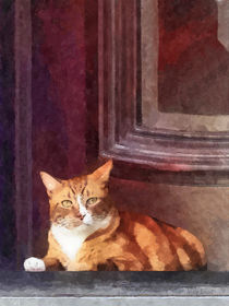 Orange Tabby Cat in Doorway by Susan Savad