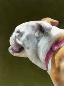 Pets - English Bulldog Profile by Susan Savad