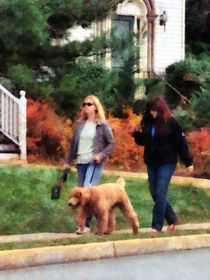 Women Walking a Dog von Susan Savad
