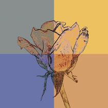 Rose Shade by GabeZ Art