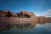 Palma Cathedral by Leighton Collins