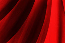 Red Abstract of Chrysanthemum Petals by John Williams
