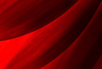 Blood Red Crimson Chrysanthemum Petals von John Williams