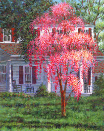 Weeping Cherry by the Veranda by Susan Savad