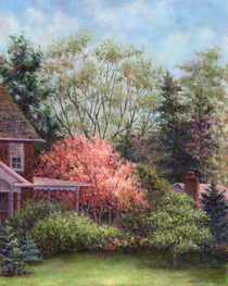 Magnolia by Susan Savad