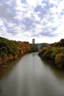 Genesee River Gorge, 2015 by Caitlin McGee