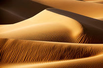 Sahara desert sand dunes during sand storm in Morocco.  by Rosa Frei
