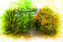 The Early Autumn Forest von David Pyatt