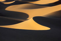 Sahara desert sand dunes in Morocco.  by Rosa Frei