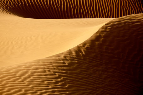Desert-sand-dunes-113