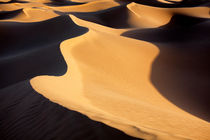 Sahara desert sand dune in Morocco.  by Rosa Frei