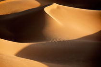 Sahara desert sand dune in Morocco.  von Rosa Frei