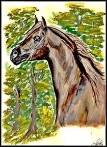 ~ Arabian Horse ~ by Sandra  Vollmann