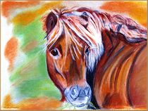 ~ Sweet Pony ~~ by Sandra  Vollmann